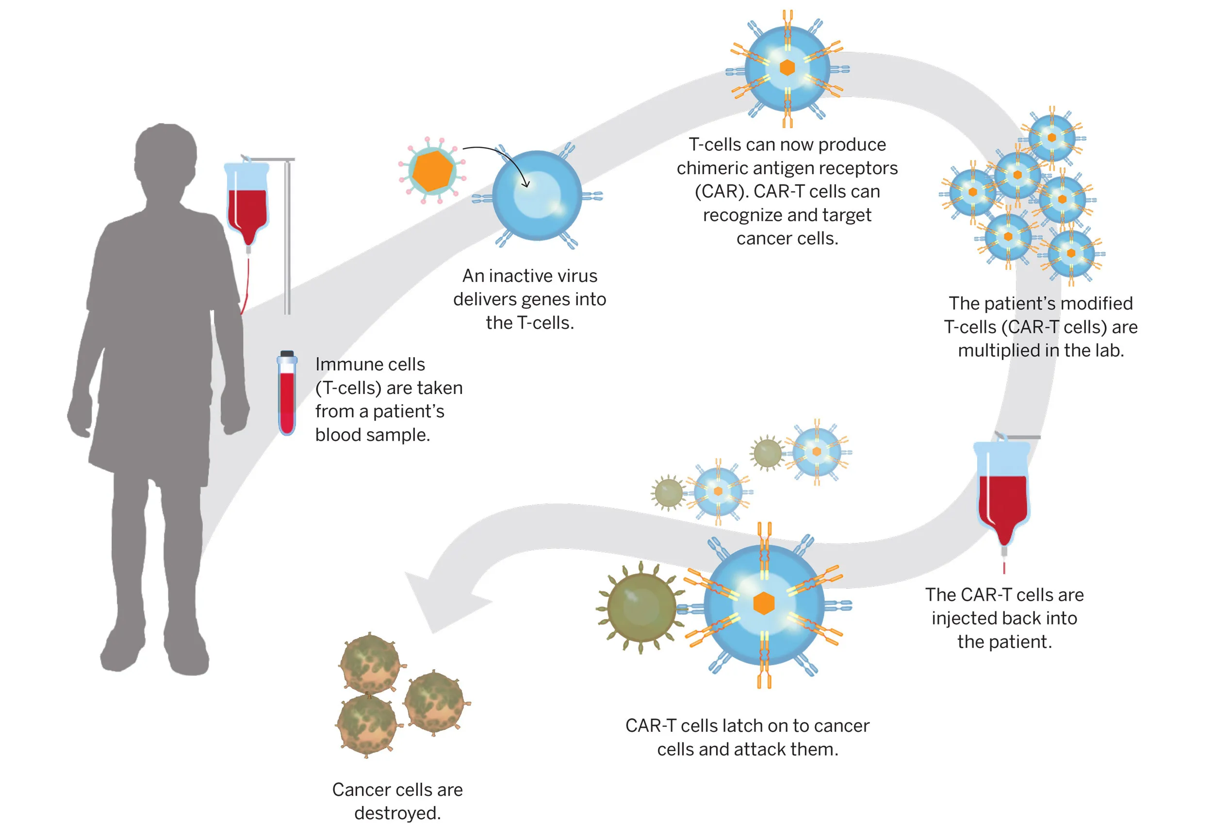 Cell & Gene Therapy
