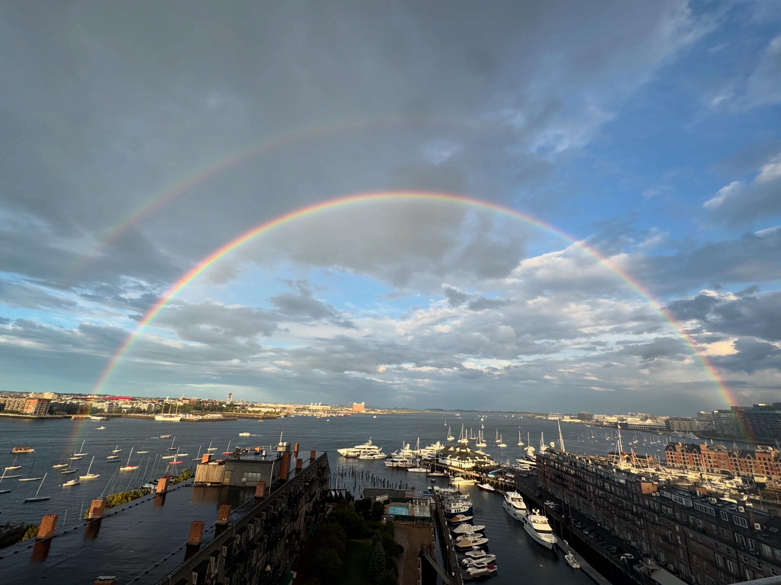 Pfizer and Novo Vie for $10B Metsera Deal Amidst Strategic Maneuvering