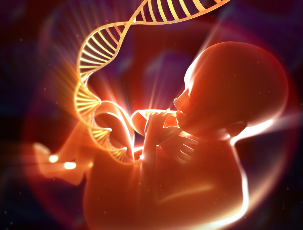Brain Quality Control Selectively Eliminates Neurons with Abnormal Variants in Development