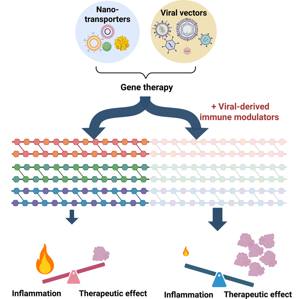 AAV Gene Therapies Demand New Strategies for Sustainable Development